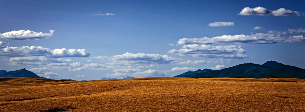 "Spacious Skies, Amber Waves of Grain, Purple Mountains Majesty" taken near Waterville, WA (c) 2013 Don Detrick